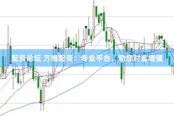 配资论坛 方维配资：专业平台，助您财富增值