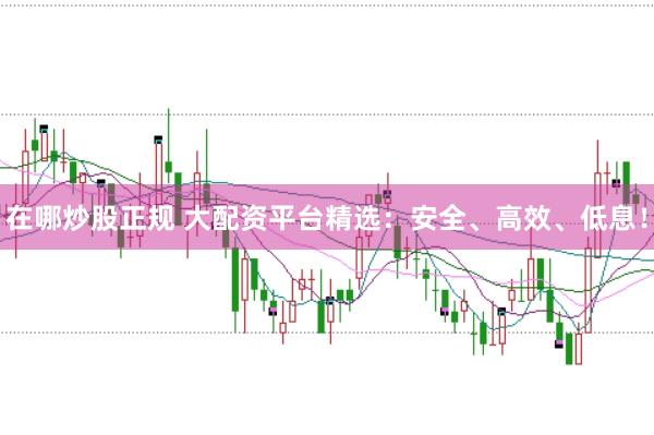 在哪炒股正规 大配资平台精选：安全、高效、低息！