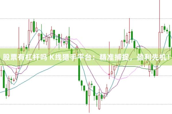 股票有杠杆吗 K线猎手平台：精准捕捉，盈利先机！