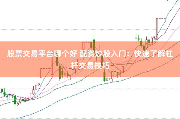 股票交易平台哪个好 配资炒股入门：快速了解杠杆交易技巧