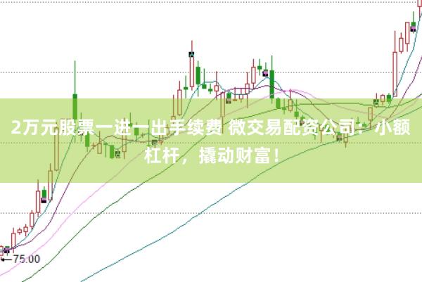 2万元股票一进一出手续费 微交易配资公司：小额杠杆，撬动财富！