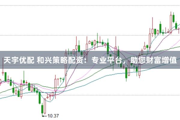 天宇优配 和兴策略配资：专业平台，助您财富增值