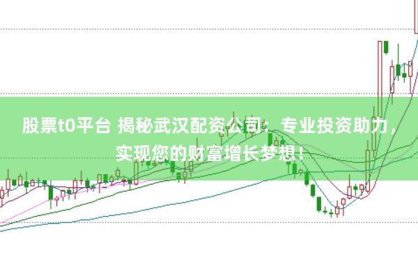股票t0平台 揭秘武汉配资公司：专业投资助力，实现您的财富增长梦想！