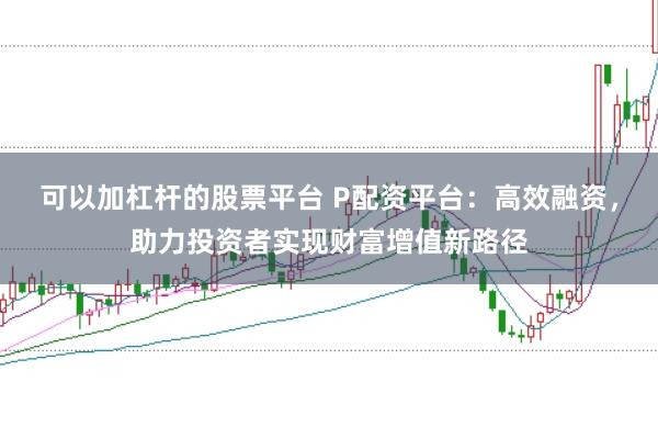 可以加杠杆的股票平台 P配资平台：高效融资，助力投资者实现财富增值新路径