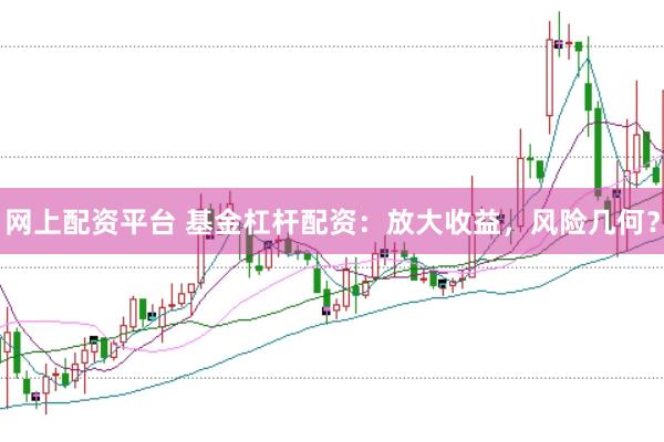 网上配资平台 基金杠杆配资：放大收益，风险几何？