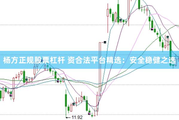杨方正规股票杠杆 资合法平台精选：安全稳健之选