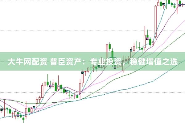 大牛网配资 普臣资产：专业投资，稳健增值之选