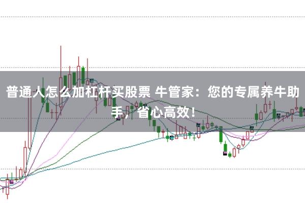 普通人怎么加杠杆买股票 牛管家：您的专属养牛助手，省心高效！