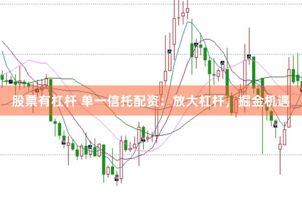 股票有杠杆 单一信托配资：放大杠杆，掘金机遇