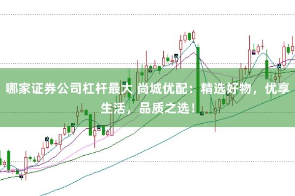 哪家证券公司杠杆最大 尚城优配：精选好物，优享生活，品质之选！