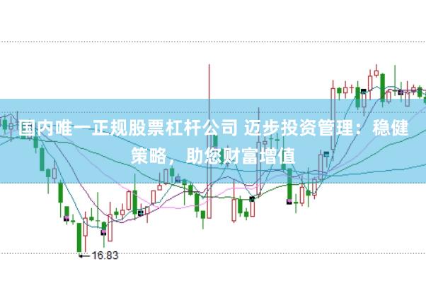 国内唯一正规股票杠杆公司 迈步投资管理：稳健策略，助您财富增值