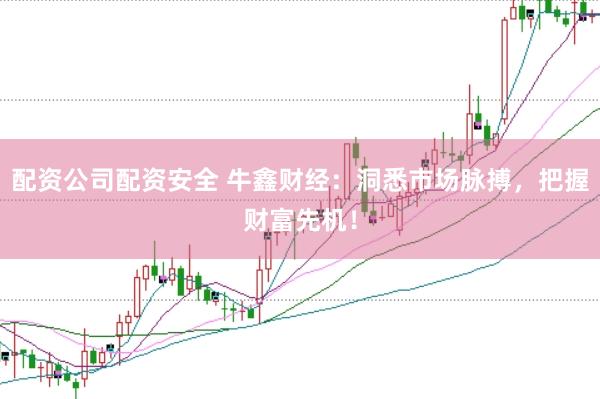 配资公司配资安全 牛鑫财经：洞悉市场脉搏，把握财富先机！