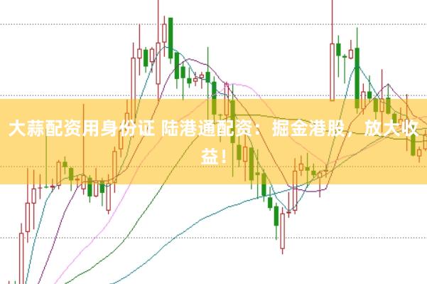 大蒜配资用身份证 陆港通配资：掘金港股，放大收益！