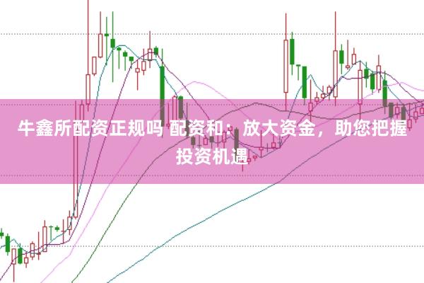 牛鑫所配资正规吗 配资和：放大资金，助您把握投资机遇