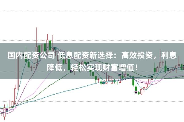 国内配资公司 低息配资新选择：高效投资，利息降低，轻松实现财富增值！