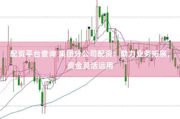 配资平台查询 集团分公司配资：助力业务拓展，资金灵活运用