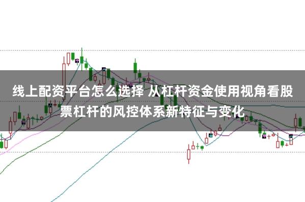线上配资平台怎么选择 从杠杆资金使用视角看股票杠杆的风控体系新特征与变化
