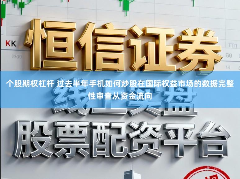 个股期权杠杆 过去半年手机如何炒股在国际权益市场的数据完整性审查从资金流向