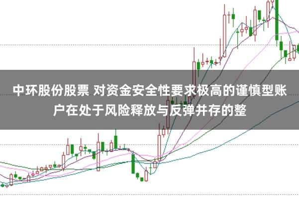 中环股份股票 对资金安全性要求极高的谨慎型账户在处于风险释放与反弹并存的整