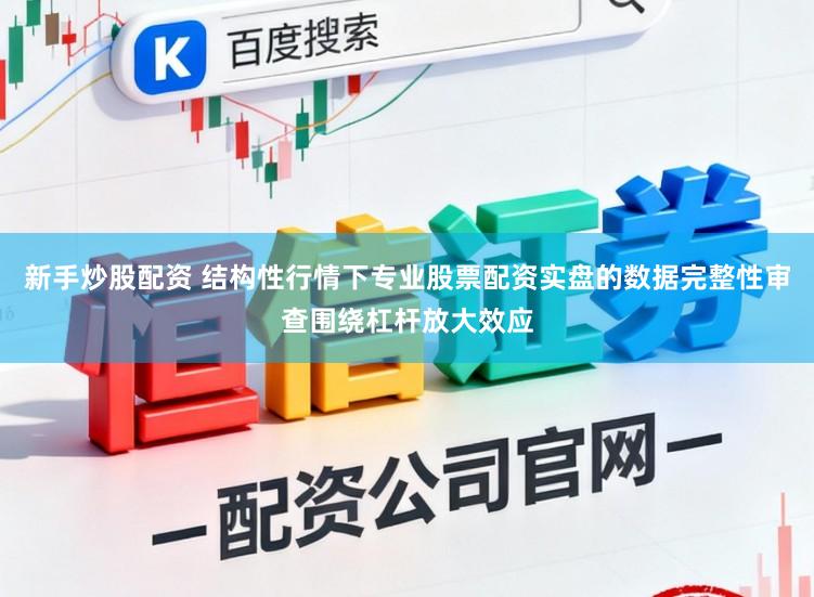 新手炒股配资 结构性行情下专业股票配资实盘的数据完整性审查围绕杠杆放大效应