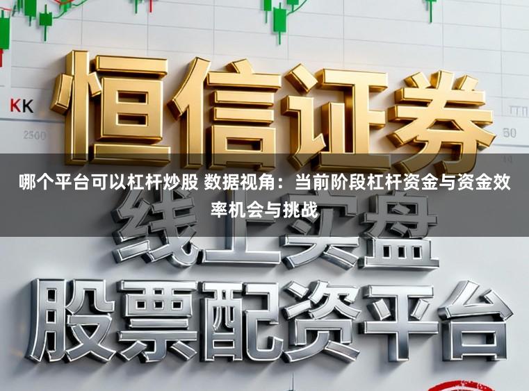 哪个平台可以杠杆炒股 数据视角：当前阶段杠杆资金与资金效率机会与挑战